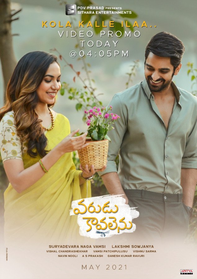 Varudu Kaavalenu