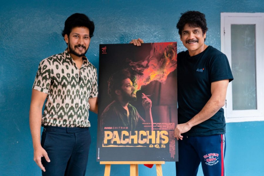 Pachchis still 2