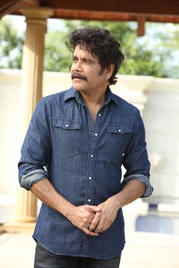 The Ghost still 8