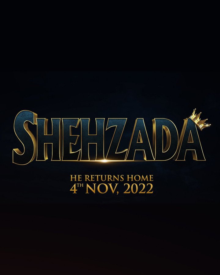 Shehzada still 3