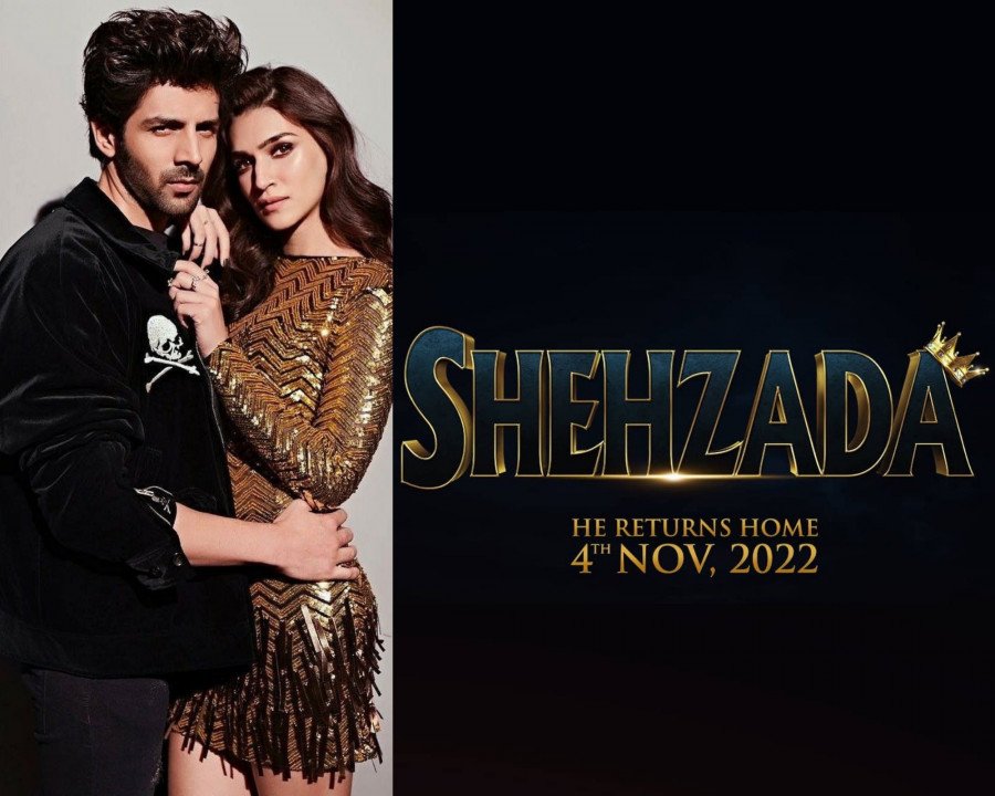 Shehzada still 5