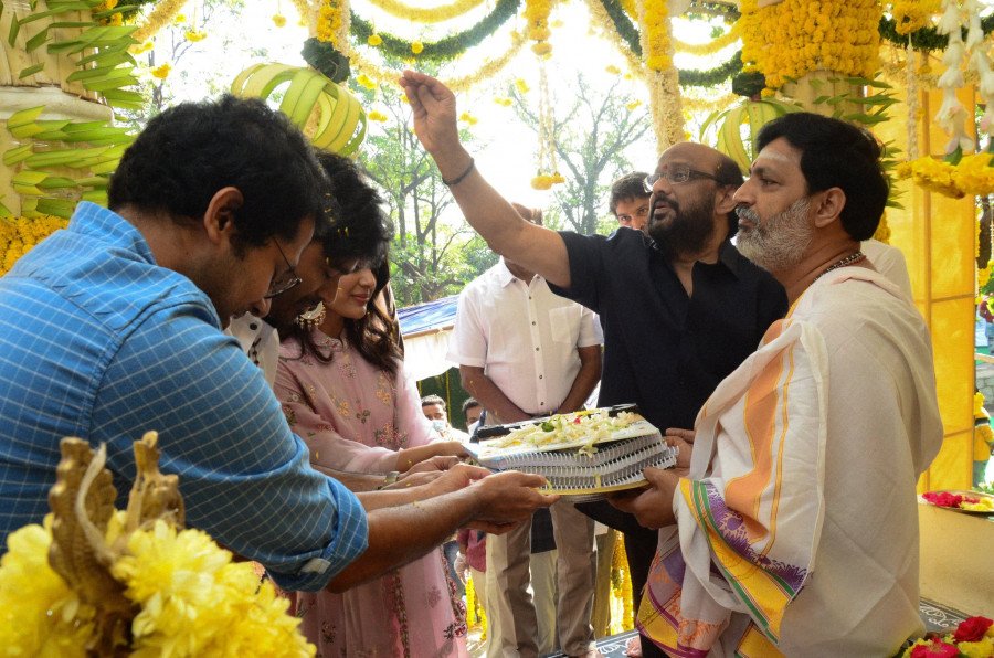 Sir still 4