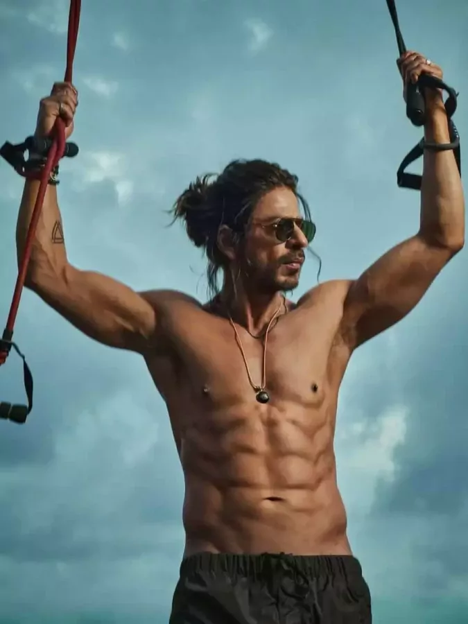 Dunki still 2