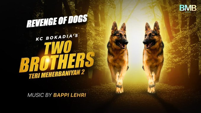 Teri Meherbaniyan 2 backdrop