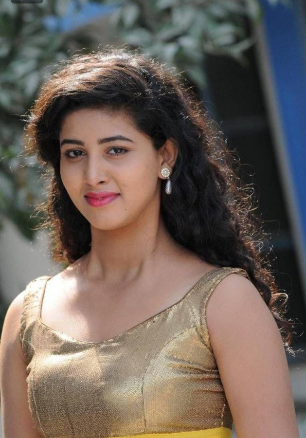 Pavani