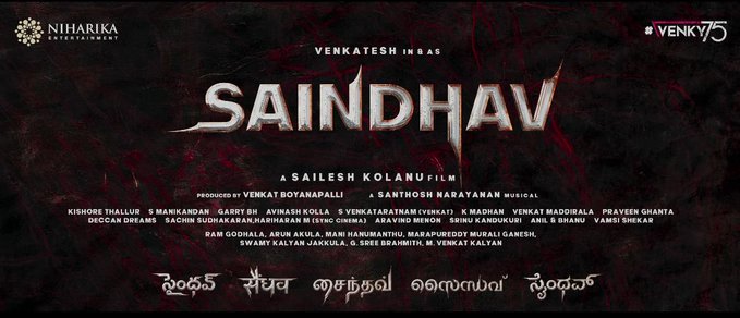 SAINDHAV still 9