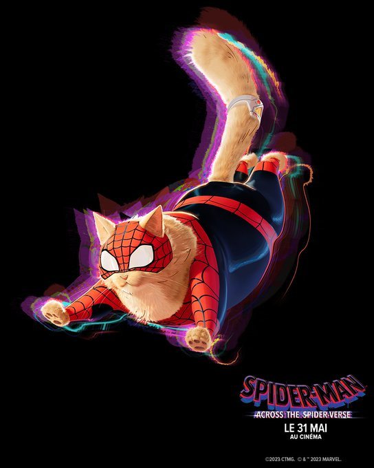 Spider Man : Across The Spider Verse