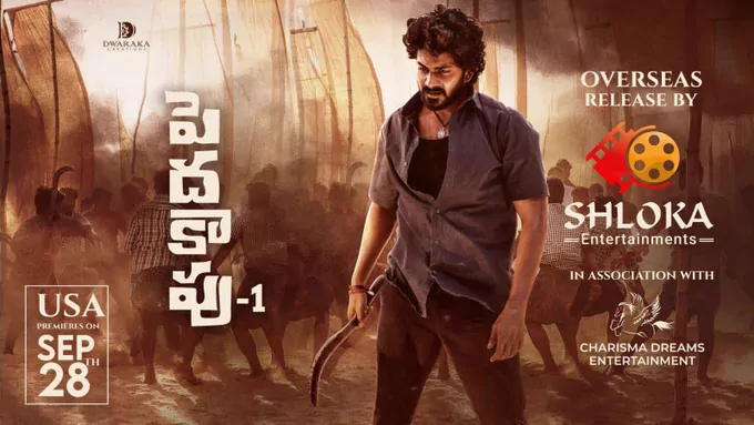 Peddha Kapu 1 still 6