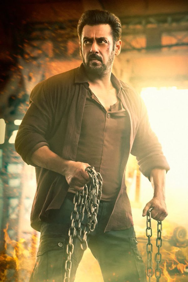 Tiger 3 still 9