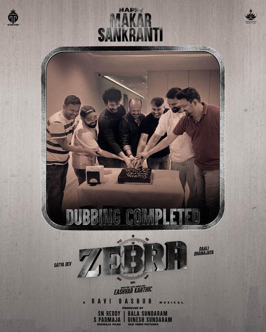 Zebra still 3
