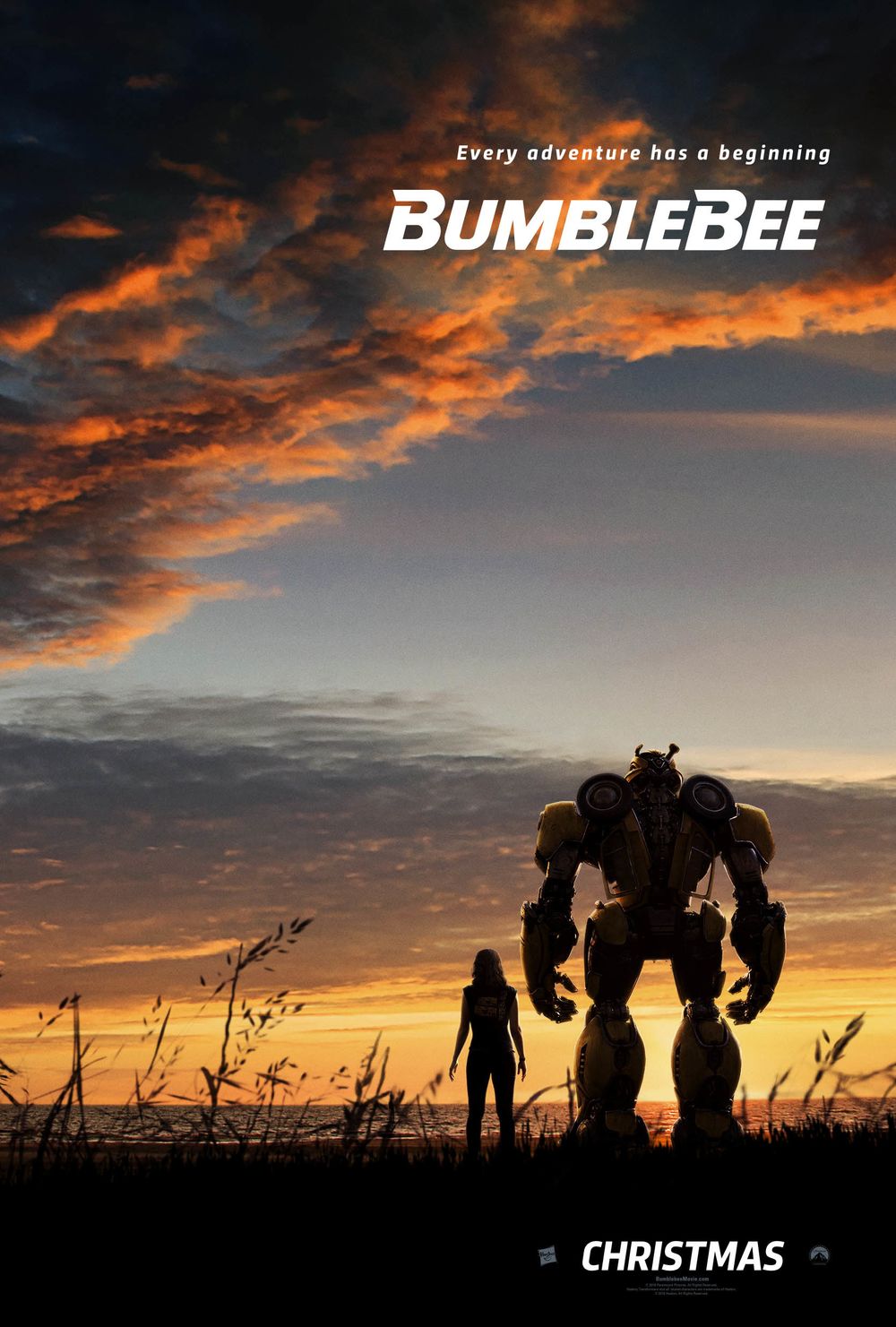 Bumblebee still 3