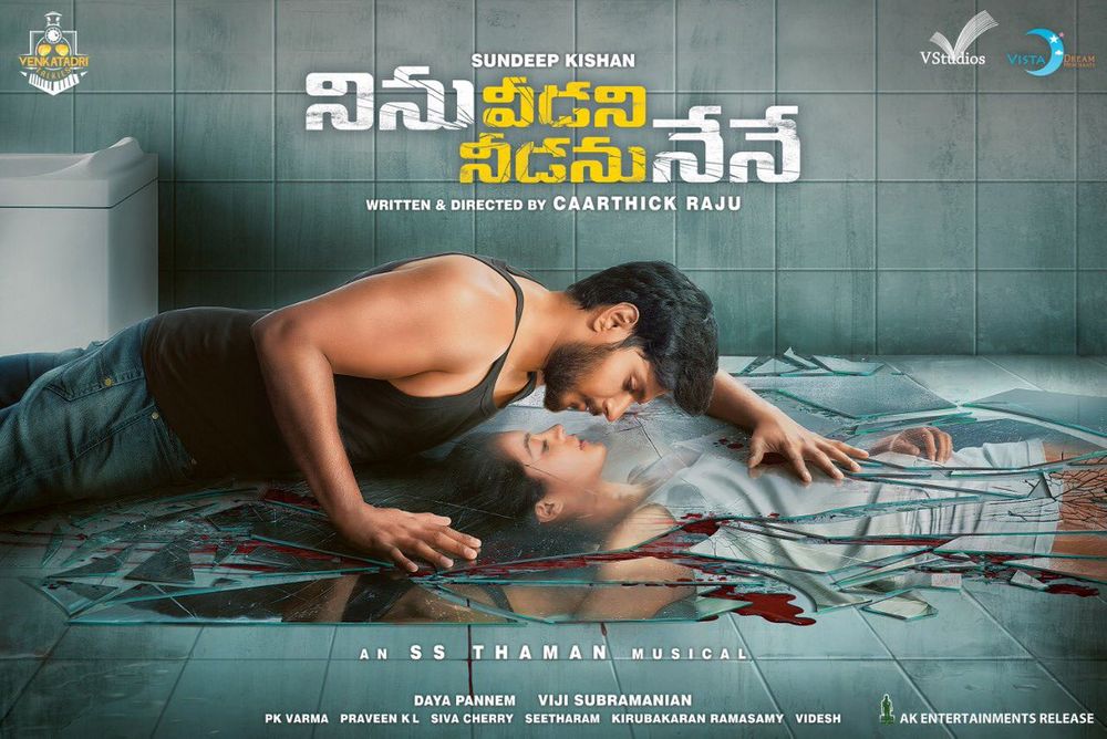 Ninnu Veedani Needanu Nene still 9