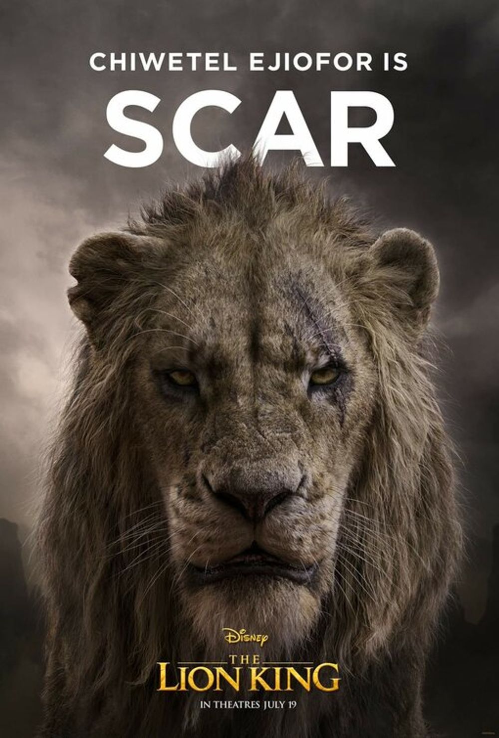 The Lion King still 4