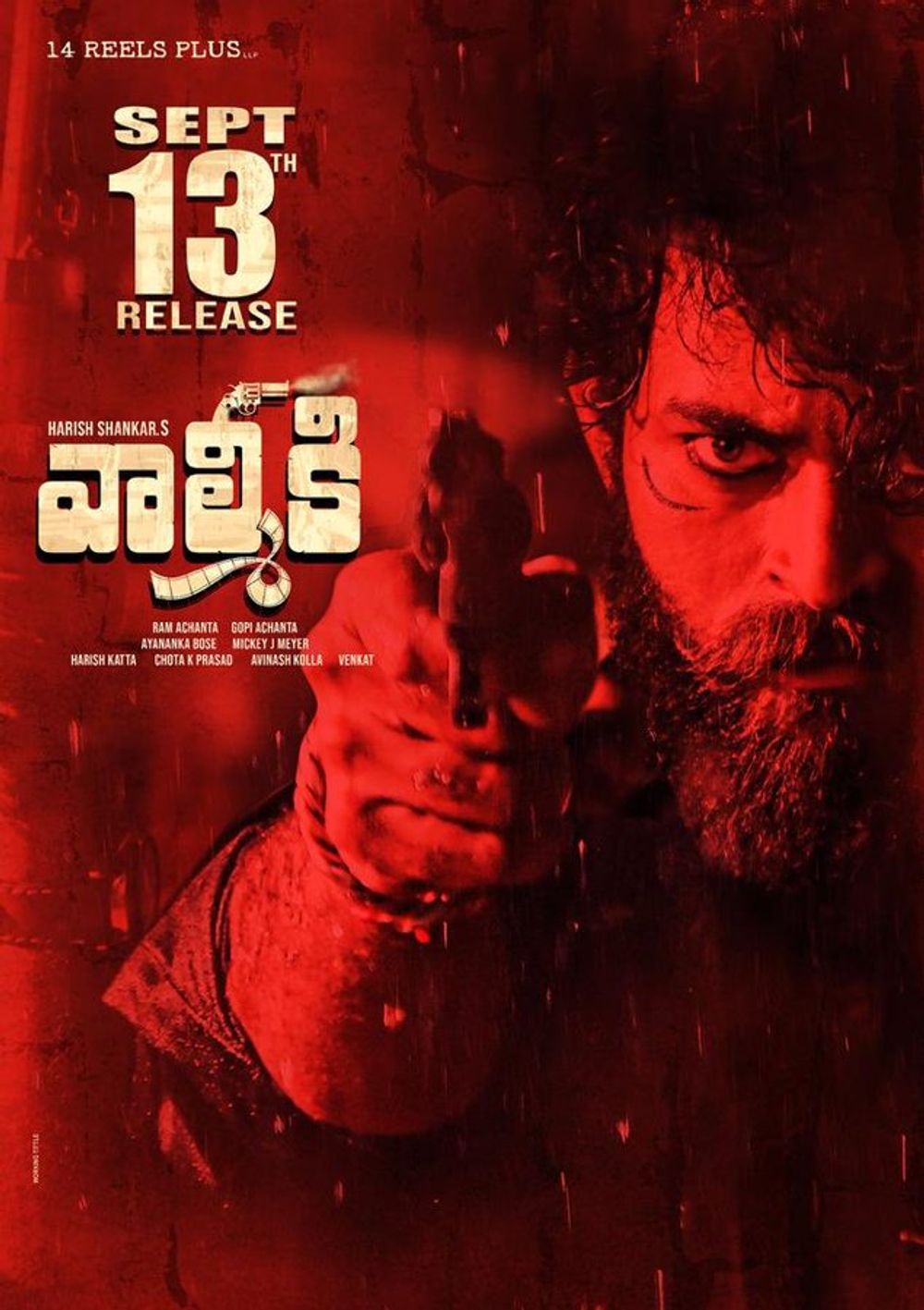 Valmiki still 2