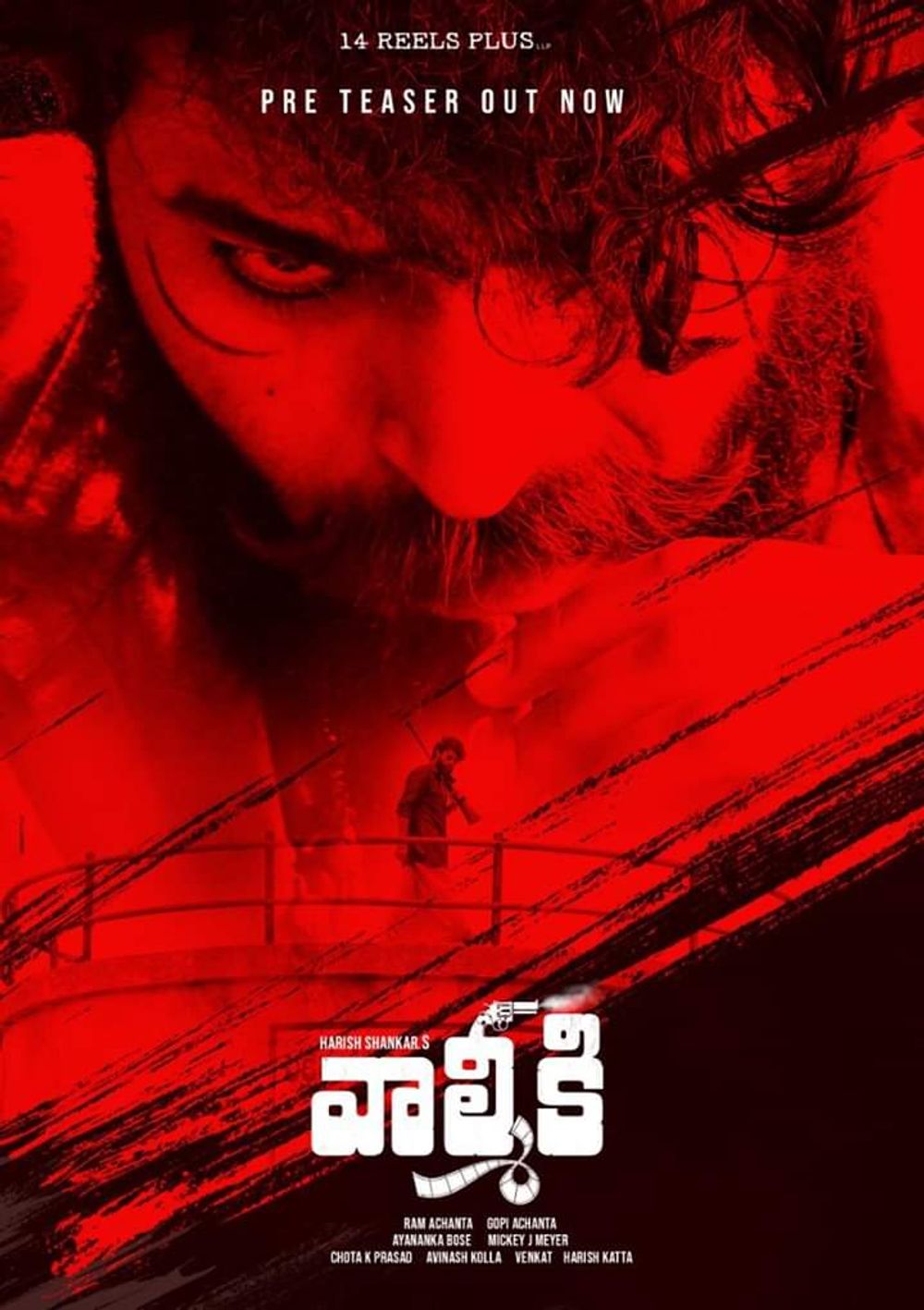 Valmiki still 3