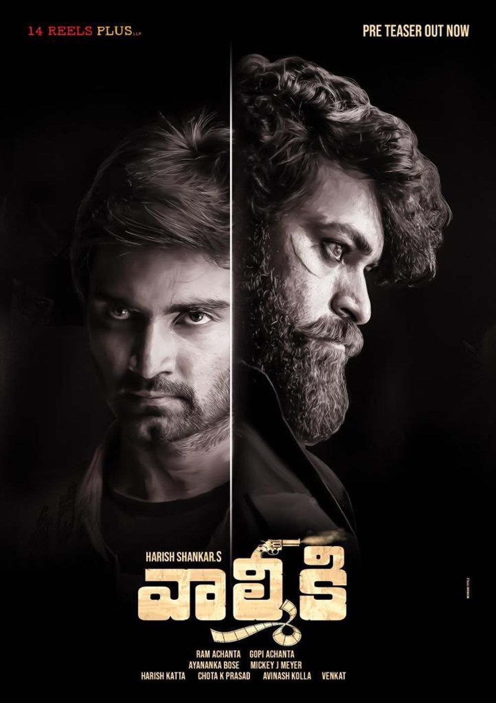 Valmiki still 4