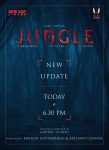 Jungle