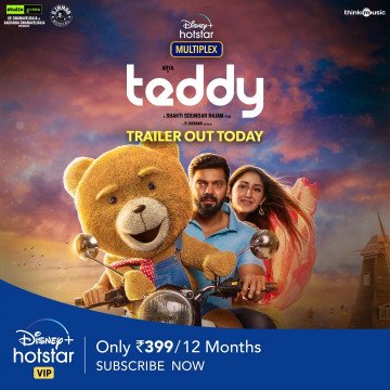 Teddy