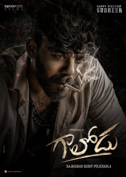 Gaalodu