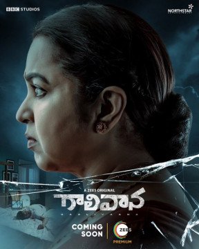 Gaalivaana
