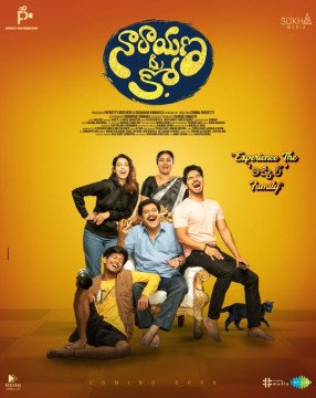 Narayana And Co