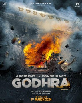 Accident or conspiracy Godhra