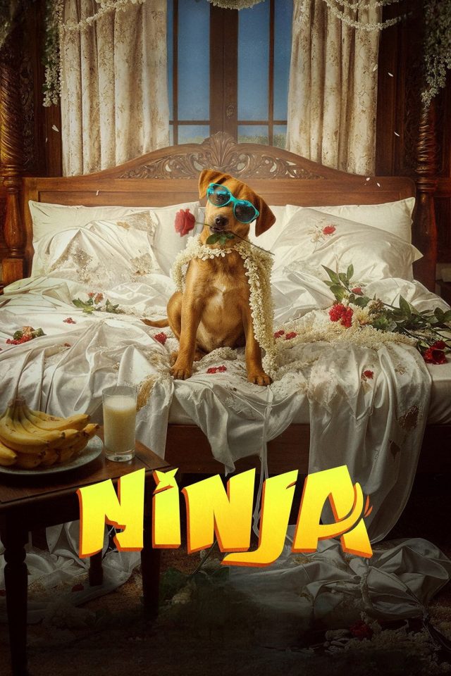 Ninja