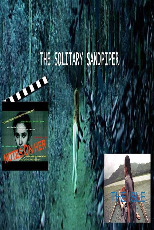 The Solitary Sandpiper