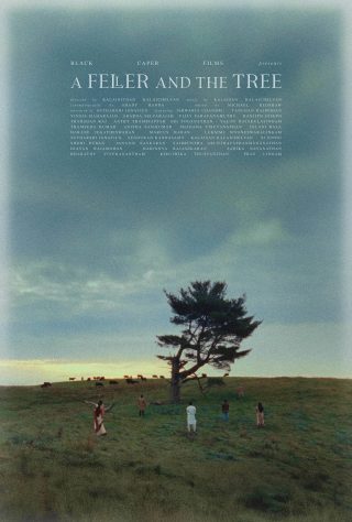 A Feller and the Tree